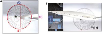 Airfoil Anemometer With Integrated Flexible Piezo-Capacitive Pressure Sensor
